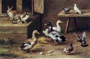 unknow artist poultry  174 oil painting picture wholesale